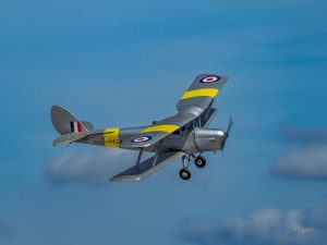 Roy Ridealgh ¼ Scale Flair Tiger Moth, with Laser 180 four stroke engine.